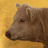 Holy Cow, 18x18 unframed dimensions. Genuine 24 kt gold. 